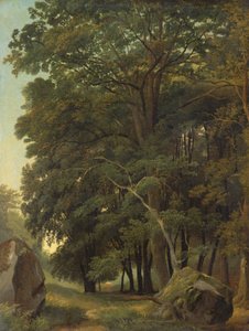 Eine bewaldete Landschaft