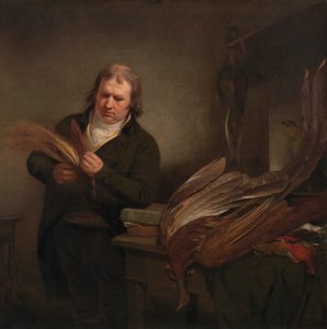 Ein Ornithologe, möglicherweise John Latham von Ramsay Richard Reinagle