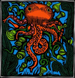 Zoologie / Meeresleben / Oktopus