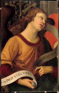 Ein Engel. Fragment des Baronci-Altars (Raffaello Sanzio) von Raphael