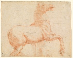 Ein Marmorpferd auf dem Quirinalshügel von Raphael