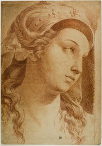 Kopf der Kommission von Raphael