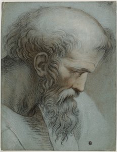 Kopf des Pythagoras