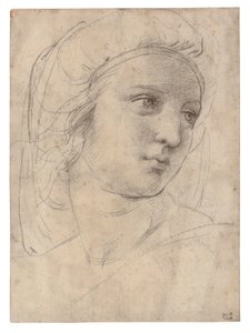 Kopf einer Muse von Raphael
