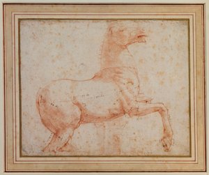 Studie eines der Quirinal-Marmor-Pferde, ca. 1515-17