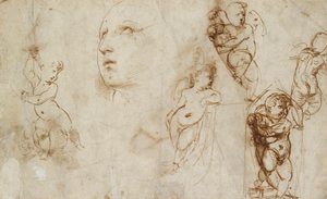 Verschiedene Studien, hauptsächlich für die Borghese-Beckford St. Katharina, frühes 16. Jahrhundert