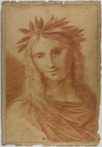 Frau mit Lorbeerkranz von Raphael