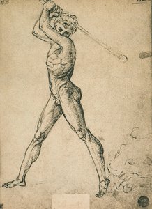 Herkules tötet den Stier; Zeichnung von Raphael. Gallerie dell