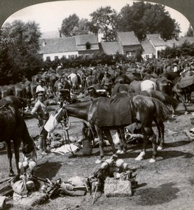 Truppen füttern ihre Pferde und ruhen sich auf dem Marsch aus, Erster Weltkrieg, 1914-1918