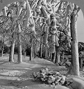 Winterszene, Goat Island, Niagarafälle, New York, USA von Realistic Travels Publishers