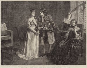 Die Verkleidung der Liebe von Rebecca Solomon