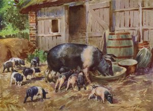 Illustration für Mein Bauernhof (Farblithografie) von Reginald Mills