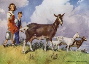 Illustration für Meine Farm
