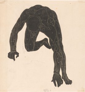 Anatomische Studie der Hals-, Arm- und Beinmuskeln eines Mannes im Silhouette