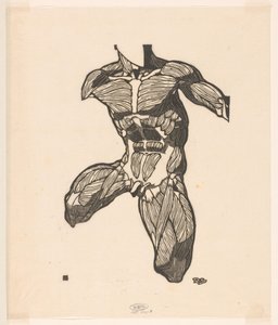 Anatomische Studie der Nacken-, Bauch- und Oberschenkelmuskeln eines Mannes