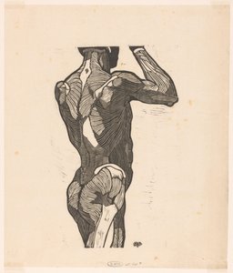 Anatomische Studie der Rücken- und Gesäßmuskeln eines Mannes