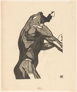 Anatomische Studie der Seiten- und Armmuskeln eines Mannes
