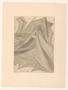 Geometrische Muster von Eisblumen von Reijer Stolk
