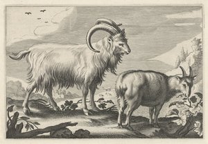 Hügelige Landschaft mit zwei Ziegen von Reinier van Persijn
