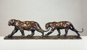 Zwei Jaguare