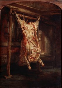 Der Ochse von Rembrandt van Rijn