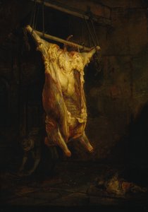 Der Kadaver eines Ochsen, späte 1630er