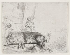 Das Schwein von Rembrandt van Rijn