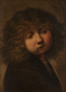 Kopf eines Jungen von Rembrandt van Rijn (circle of)