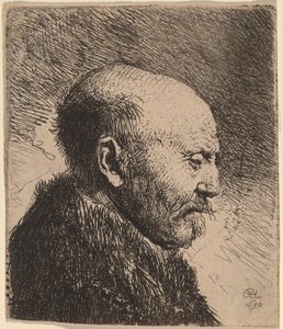 Ein glatzköpfiger Mann im Profil (Der Vater des Künstlers?) von Rembrandt van Rijn