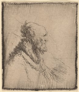 Glatzköpfiger alter Mann mit kurzem Bart im Profil von Rembrandt van Rijn