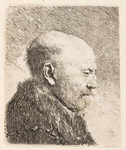 Glatzköpfiger Mann im Profil (Rembrandts Vater?) von Rembrandt van Rijn