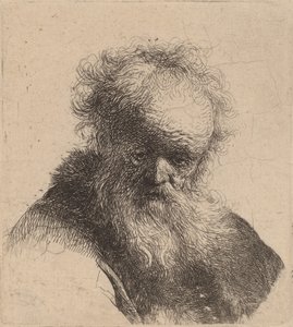 Büste eines alten Mannes mit fließendem Bart und weißem Ärmel, ca. 1630 von Rembrandt van Rijn