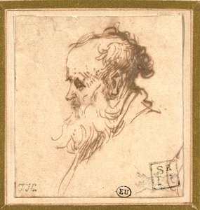 Kopf eines bärtigen Mannes im Profil nach links von Rembrandt van Rijn