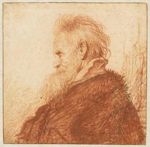 Kopf eines alten Mannes (Vorderseite) von Rembrandt van Rijn