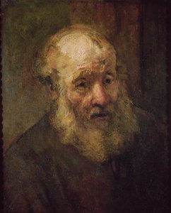 Kopf eines alten Mannes, um 1650