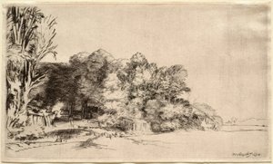 Landschaft mit einer Baumgruppe von Rembrandt van Rijn