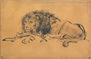 Löwe ruht, nach links gewandt, ca. 1650