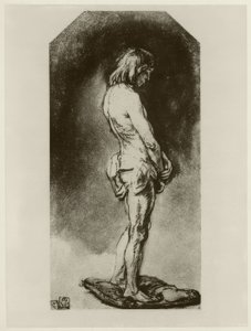 Männlicher Akt von Rembrandt van Rijn