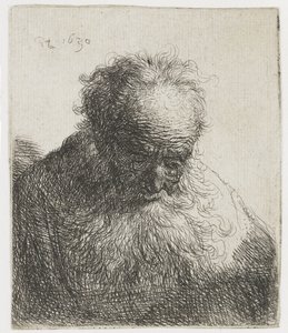 Alter Mann mit fließendem Bart, linke Schulter unbeschattet von Rembrandt van Rijn
