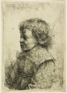 Porträt eines Jungen von Rembrandt van Rijn