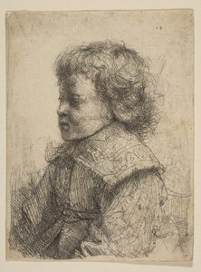 Porträt eines Jungen im Profil, 1641 von Rembrandt van Rijn