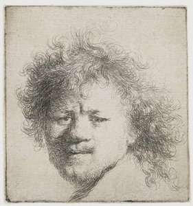 Selbstporträt mit langem buschigem Haar: nur Kopf von Rembrandt van Rijn