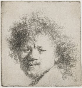 Selbstporträt mit langen buschigen Haaren: nur Kopf, ca. 1631 von Rembrandt van Rijn