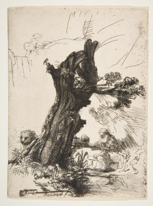 St. Hieronymus neben einer Kopfweide, 1648