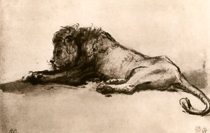 Studie eines Löwen, 1913