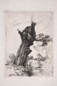 Heiliger Hieronymus, schreibend an einem Weidenstamm von Rembrandt van Rijn