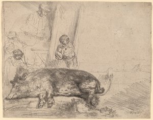 Das Schwein von Rembrandt van Rijn