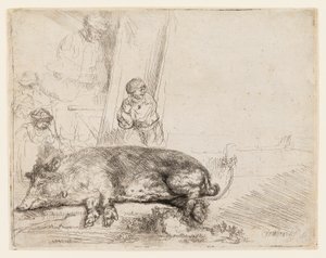 Das Schwein von Rembrandt van Rijn