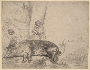 Das Schwein von Rembrandt van Rijn