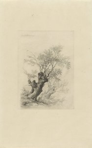 Weidenbaum von Remigius Adrianus Haanen